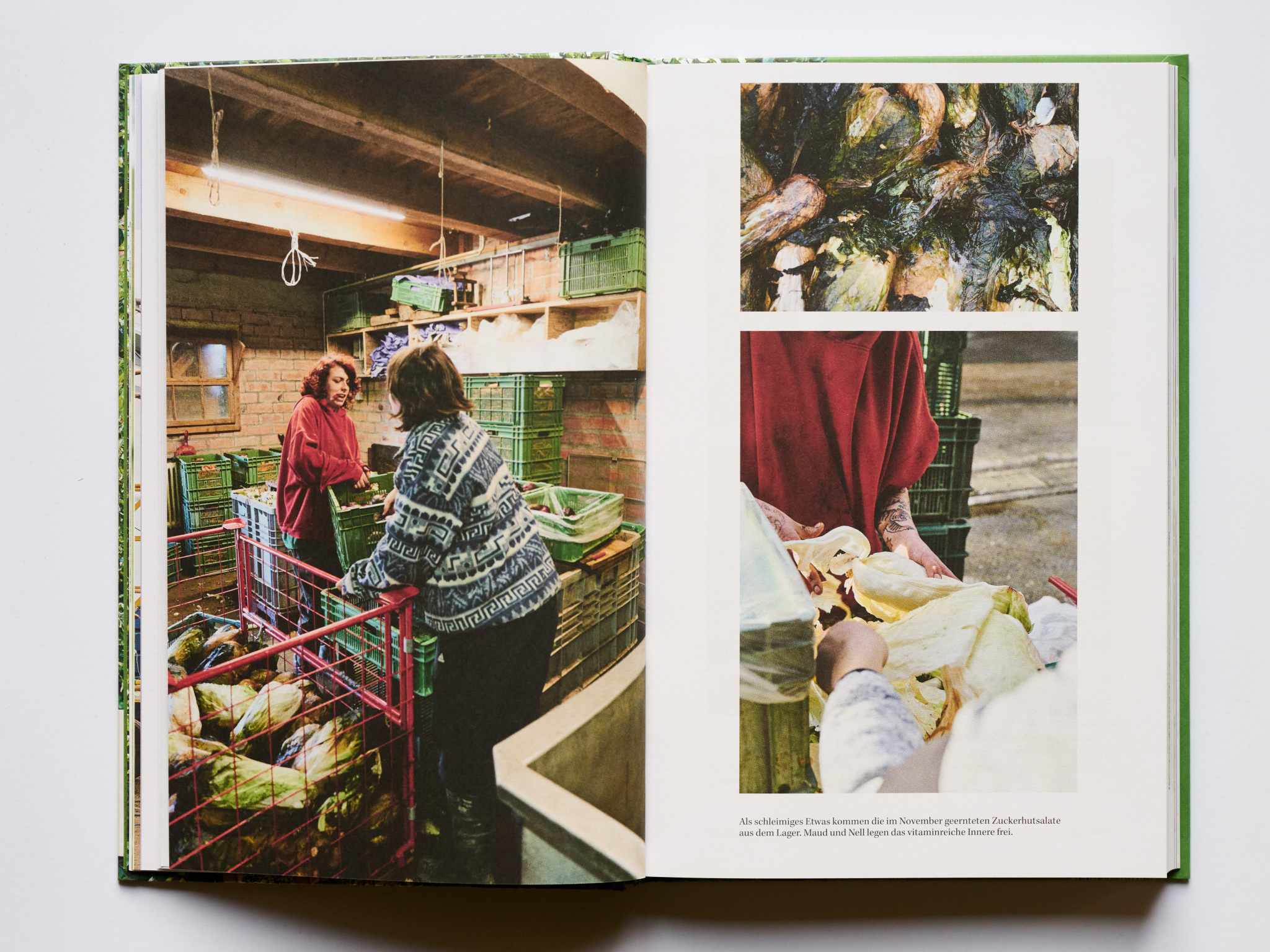 Produktfoto eines Reportage Buches. Produktfoto mit natürlichem Licht. Sanftes Licht bei Produktfotografie. Studioaufnahme eines Buches.