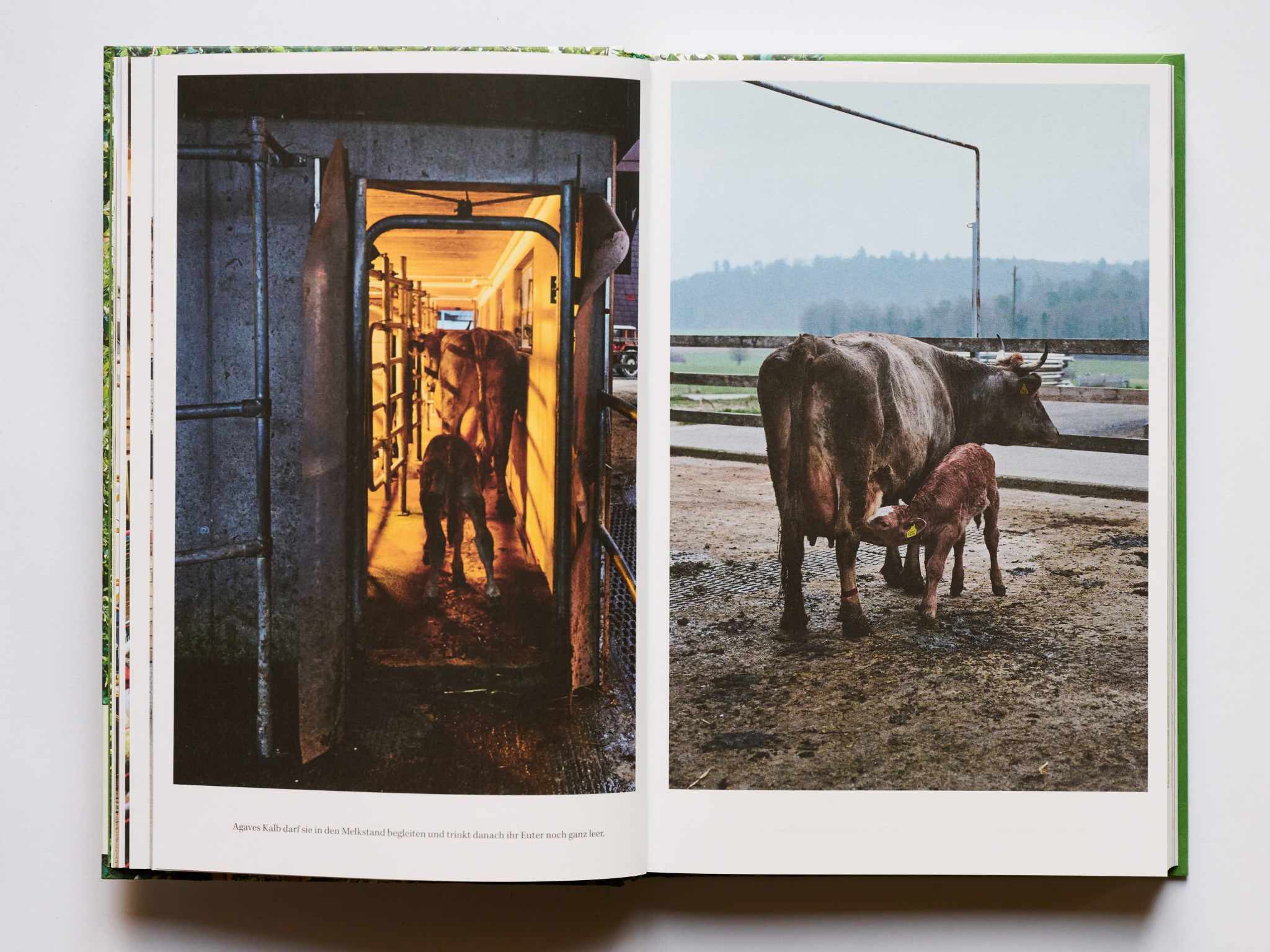 Produktfoto eines Reportage Buches. Produktfoto mit natürlichem Licht. Sanftes Licht bei Produktfotografie. Studioaufnahme eines Buches.