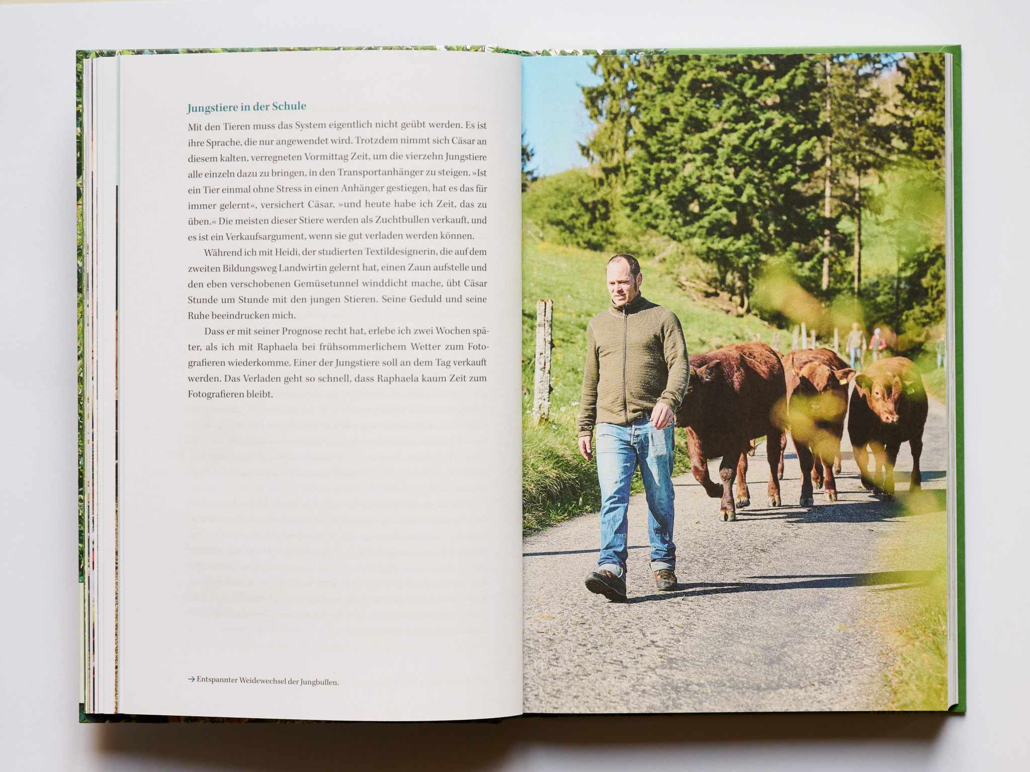 Produktfoto eines Reportage Buches. Produktfoto mit natürlichem Licht. Sanftes Licht bei Produktfotografie. Studioaufnahme eines Buches.