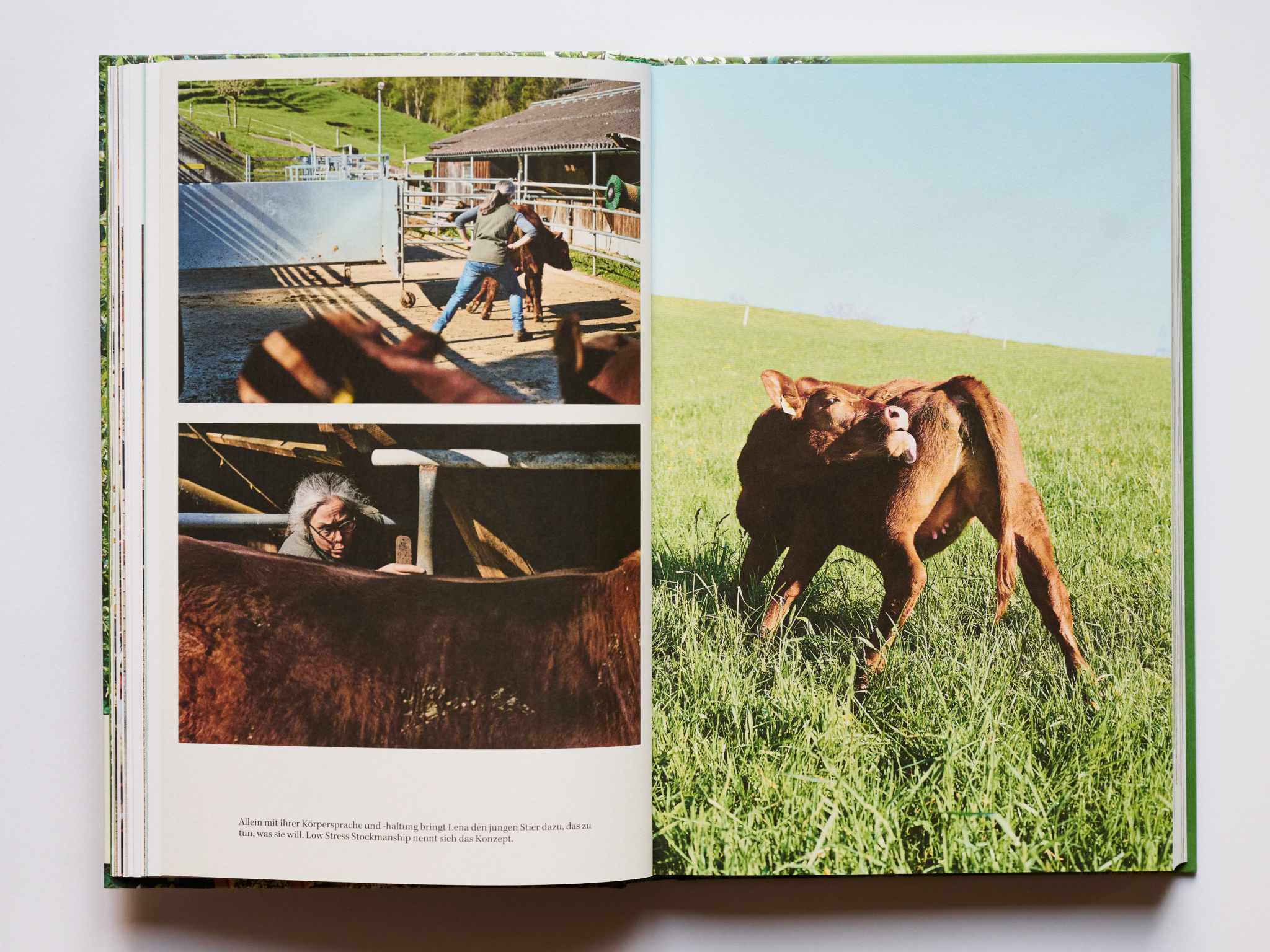 Produktfoto eines Reportage Buches. Produktfoto mit natürlichem Licht. Sanftes Licht bei Produktfotografie. Studioaufnahme eines Buches.