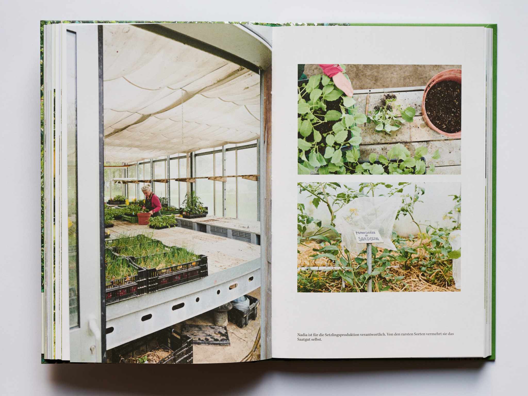 Produktfoto eines Reportage Buches. Produktfoto mit natürlichem Licht. Sanftes Licht bei Produktfotografie. Studioaufnahme eines Buches.
